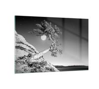 Cuadro Sobre Vidrio 120x80cm Cuadros Pared Llena La Luna Árbol Wall Art Prints