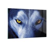 Cuadro Sobre Vidrio 120x80cm Cuadros Pared Mira El Lobo Ojos Wall Art Prints