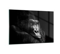 Cuadro Sobre Vidrio 120x80cm Cuadros Pared Mono Gorila Retrato Wall Art Prints