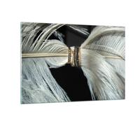 Cuadro Sobre Vidrio 120x80cm Cuadros Pared Pluma Romántico Matrimonio Wall Art