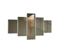 Cuadro Sobre Vidrio 125x70cm Cuadros Pared Bailarina Figura Bailando Wall Art