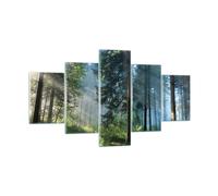 Cuadro Sobre Vidrio 125x70cm Cuadros Pared Bosque Amanecer El Sol Wall Art