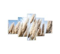 Cuadro Sobre Vidrio 125x70cm Cuadros Pared Caña Cielo Boho Wall Art Prints Decor