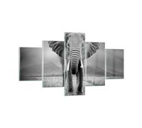 Cuadro Sobre Vidrio 125x70cm Cuadros Pared Elefante Salvaje Naturaleza Wall Art