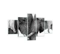 Cuadro Sobre Vidrio 125x70cm Cuadros Pared Elefantes Safari Bond Wall Art Prints