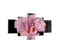 Cuadro Sobre Vidrio 125x70cm Cuadros Pared Hibisco Flor Rosa Wall Art Prints