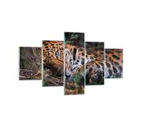 Cuadro Sobre Vidrio 125x70cm Cuadros Pared Leopardo Retrato Jaguar Wall Art