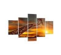 Cuadro Sobre Vidrio 125x70cm Cuadros Pared Palma Paisaje Sol Wall Art Prints