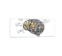 Cuadro Sobre Vidrio 140x50cm Cuadros Cerebro educación experimento ilustración