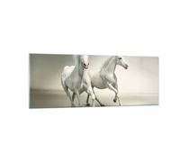 Cuadro Sobre Vidrio 140x50cm Cuadros Pared Animales árabe caballo granja Art