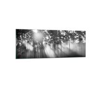 Cuadro Sobre Vidrio 140x50cm Cuadros Pared Bosque Pino Sol Wall Art Prints Decor