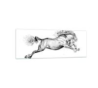 Cuadro Sobre Vidrio 140x50cm Cuadros Pared Caballo Dibujo Lápiz Wall Art Prints