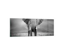 Cuadro Sobre Vidrio 140x50cm Cuadros Pared Elefante Salvaje Naturaleza Wall Art