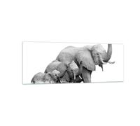 Cuadro Sobre Vidrio 140x50cm Cuadros Pared Elefantes Familia Blanco Y Negro Art