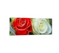 Cuadro Sobre Vidrio 140x50cm Cuadros Pared Flores ramo rosa Wall Art Prints