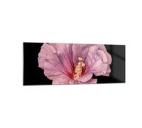 Cuadro Sobre Vidrio 140x50cm Cuadros Pared Hibisco Flor Rosa Wall Art Prints