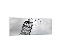 Cuadro Sobre Vidrio 140x50cm Cuadros Pared Libertad Jaula Aves Wall Art Prints