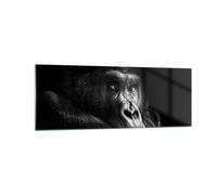 Cuadro Sobre Vidrio 140x50cm Cuadros Pared Mono Gorila Retrato Wall Art Prints