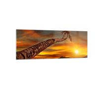 Cuadro Sobre Vidrio 140x50cm Cuadros Pared Palma Paisaje Sol Wall Art Prints