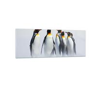 Cuadro Sobre Vidrio 140x50cm Cuadros Pared Pingüinos invierno nieve a pie Art