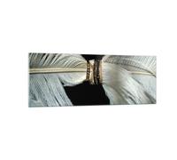 Cuadro Sobre Vidrio 140x50cm Cuadros Pared Pluma Romántico Matrimonio Wall Art