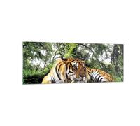 Cuadro Sobre Vidrio 140x50cm Cuadros Pared Tigre Selva Descanso Wall Art Prints