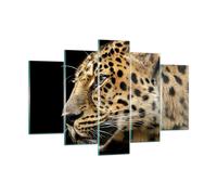 Cuadro Sobre Vidrio 150x100cm Animales leopardo gato salvaje animales salvajes