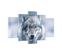 Cuadro Sobre Vidrio 150x100cm Cuadros Pared lobo depredador salvajismo Wall Art