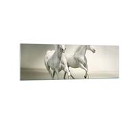 Cuadro Sobre Vidrio 160x50cm Cuadros Pared Animales árabe caballo granja Art