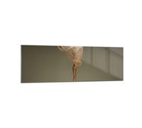 Cuadro Sobre Vidrio 160x50cm Cuadros Pared Bailarina Figura Bailando Wall Art