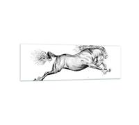 Cuadro Sobre Vidrio 160x50cm Cuadros Pared Caballo Dibujo Lápiz Wall Art Prints