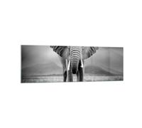 Cuadro Sobre Vidrio 160x50cm Cuadros Pared Elefante Salvaje Naturaleza Wall Art