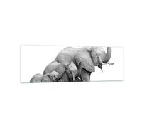 Cuadro Sobre Vidrio 160x50cm Cuadros Pared Elefantes Familia Blanco Y Negro Art