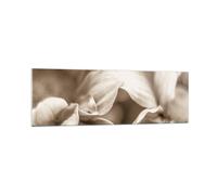 Cuadro Sobre Vidrio 160x50cm Cuadros Pared Flores Boho Sin Wall Art Prints Decor