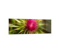 Cuadro Sobre Vidrio 160x50cm Cuadros Pared Gráficos flor planta luz resplandor