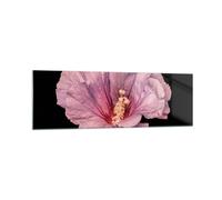 Cuadro Sobre Vidrio 160x50cm Cuadros Pared Hibisco Flor Rosa Wall Art Prints