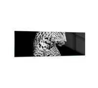 Cuadro Sobre Vidrio 160x50cm Cuadros Pared leopardo pantera gato Wall Art Prints