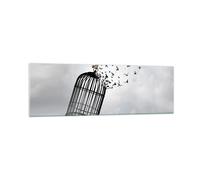 Cuadro Sobre Vidrio 160x50cm Cuadros Pared Libertad Jaula Aves Wall Art Prints