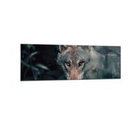 Cuadro Sobre Vidrio 160x50cm Cuadros Pared lobo bosque depredador Wall Art