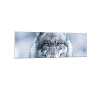 Cuadro Sobre Vidrio 160x50cm Cuadros Pared lobo depredador salvajismo Wall Art