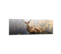Cuadro Sobre Vidrio 160x50cm Cuadros Pared Luz Ciervo Bosque Wall Art Prints