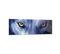 Cuadro Sobre Vidrio 160x50cm Cuadros Pared Mira El Lobo Ojos Wall Art Prints