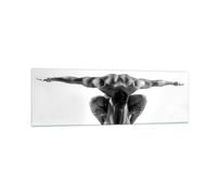 Cuadro Sobre Vidrio 160x50cm Cuadros Pared Modelo cuerpo músculos tatuaje Art