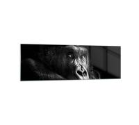 Cuadro Sobre Vidrio 160x50cm Cuadros Pared Mono Gorila Retrato Wall Art Prints