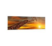 Cuadro Sobre Vidrio 160x50cm Cuadros Pared Palma Paisaje Sol Wall Art Prints