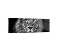 Cuadro Sobre Vidrio 160x50cm Cuadros Pared Retrato León Blanco Y Negro Wall Art