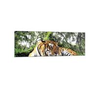 Cuadro Sobre Vidrio 160x50cm Cuadros Pared Tigre Selva Descanso Wall Art Prints