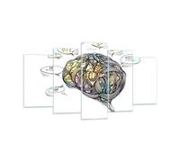 Cuadro Sobre Vidrio 160x85cm Cuadros Cerebro educación experimento ilustración
