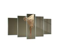 Cuadro Sobre Vidrio 160x85cm Cuadros Pared Bailarina Figura Bailando Wall Art
