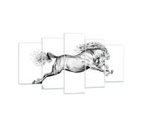 Cuadro Sobre Vidrio 160x85cm Cuadros Pared Caballo Dibujo Lápiz Wall Art Prints